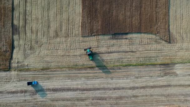 29 de julio de 2019 Ucrania, Bucha: Una cosechadora cosecha trigo en un cálido día de verano. Vista de aves 4k — Vídeo de stock