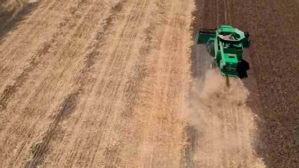 29. Juli 2019 in der Ukraine, bucha: Ein Erntehelfer erntet an einem warmen Sommertag Weizen. Vogelperspektive 4k — Stockvideo