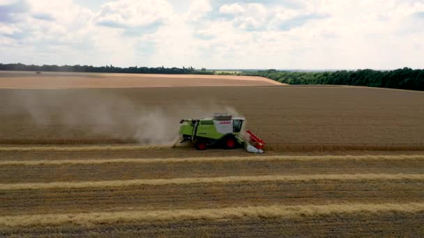29 juillet 2019 Ukraine, Bucha : Une vendangeuse récolte du blé par une chaude journée d'été. Oiseaux-vue 4k — Video