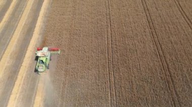 29 Temmuz 2019 Ukrayna, Bucha: Sıcak bir yaz gününde hasat buğdayı hasat eder. Kuş bakışı görüş 4k