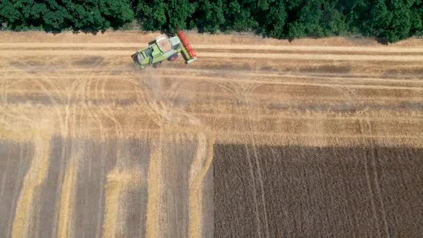 29. Juli 2019 in der Ukraine, bucha: Ein Erntehelfer erntet an einem warmen Sommertag Weizen. Vogelperspektive 4k — Stockvideo