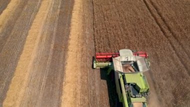 29 Temmuz 2019 Ukrayna, Bucha: Sıcak bir yaz gününde hasat buğdayı hasat eder. Kuş bakışı görüş 4k