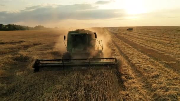 29 juli 2019 Oekraïne, Bucha: Een oogstmachine oogst tarwe op een warme zomerdag. Birds-eye view 4k — Stockvideo