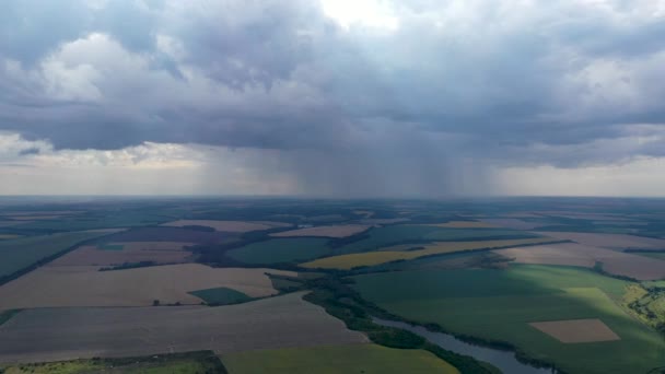 Flygvy över drönare som flyger över fälten med solrosor — Stockvideo