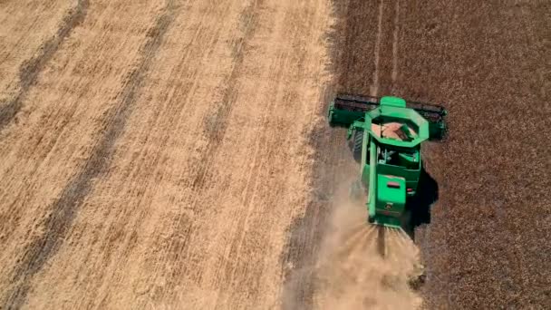 29 июля 2019 года Украина, Буча: Сборщик урожая собирает пшеницу в теплый летний день. Вид с высоты птичьего полета — стоковое видео