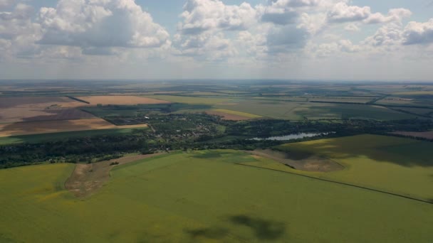 Vista aérea de drone voando sobre os campos com girassóis — Vídeo de Stock