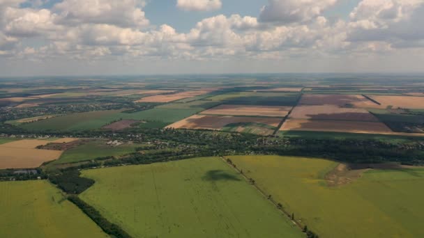 Vista aérea de drone voando sobre os campos com girassóis — Vídeo de Stock