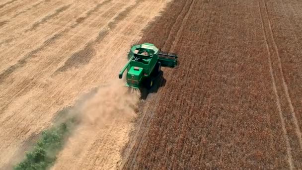 29 de julio de 2019 Ucrania, Bucha: Una cosechadora cosecha trigo en un cálido día de verano. Vista de aves 4k — Vídeo de stock