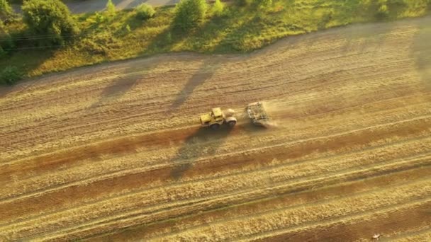 4k Stary traktor uprawia żółte pole. Filmik z powietrza — Wideo stockowe