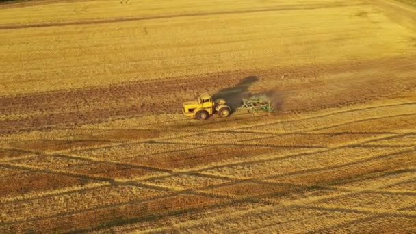 4k En gammel traktor dyrker et gult felt. Luftvideo – Stock-video