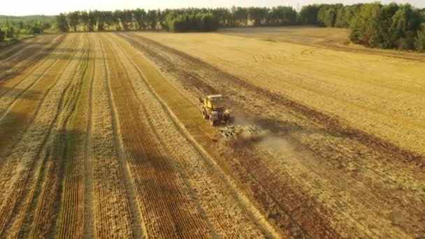 4k Un vecchio trattore coltiva un campo giallo. Video aereo — Video Stock