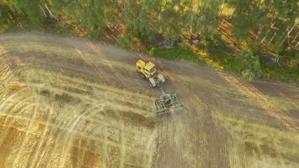 4k Un vecchio trattore coltiva un campo giallo. Video aereo — Video Stock