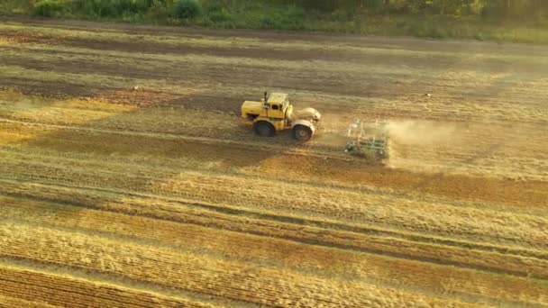 4k Stary traktor uprawia żółte pole. Filmik z powietrza — Wideo stockowe