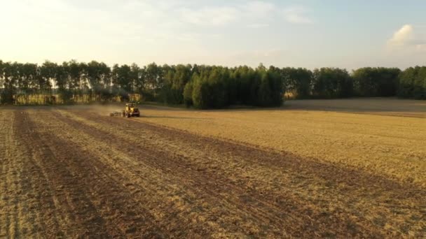 4k Старый трактор культивирует желтое поле. Авиационное видео — стоковое видео