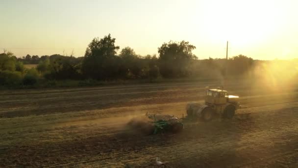4k. Eski bir traktör sarı bir tarla yetiştirir. Hava videosu — Stok video