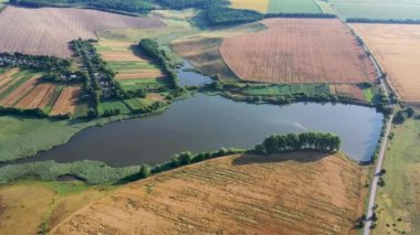 Yükseklikten 4k hava görüntüsü, olgun altın renkli buğday tarlaları