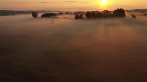 4К Пролет над утренним летним лугом в тумане, красивый летний пейзаж, высокое качество — стоковое видео