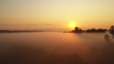 4k Sis, güzel yaz manzara, yüksek kalitede sabah yaz çayır üzerinde Uçan