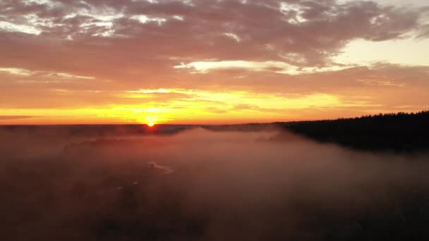 4K flyger över morgon sommarängen i dimman, vackert sommar landskap, hög kvalitet — Stockvideo