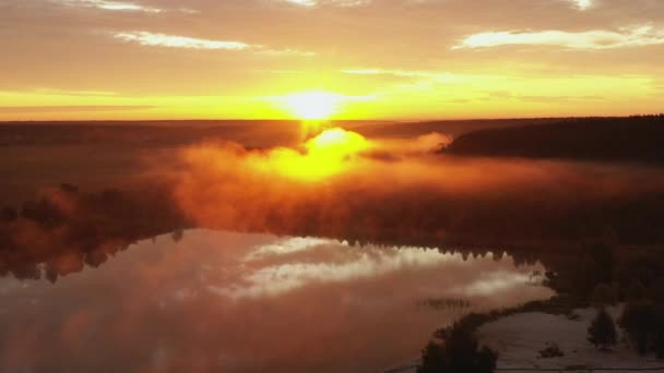 4K Latanie na łące letniej rano w mgle, piękny letni krajobraz, wysokiej jakości — Wideo stockowe
