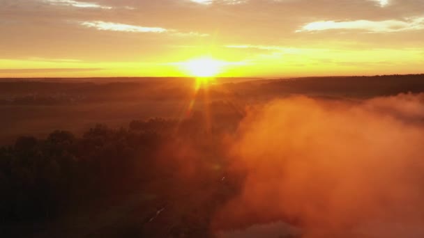 4К Пролет над утренним летним лугом в тумане, красивый летний пейзаж, высокое качество — стоковое видео