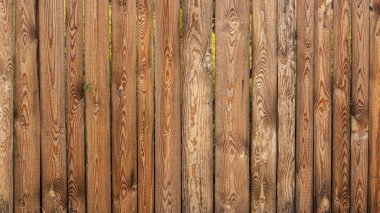 Eski sarı çam ağacı dokusu. Zemin yüzey arkaplanı