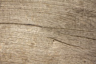 Eski sarı çam ağacı dokusu. Zemin yüzey arkaplanı