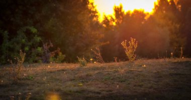 Harika manzara, akşam çayır ılıma güneş ışığı ile sular altında