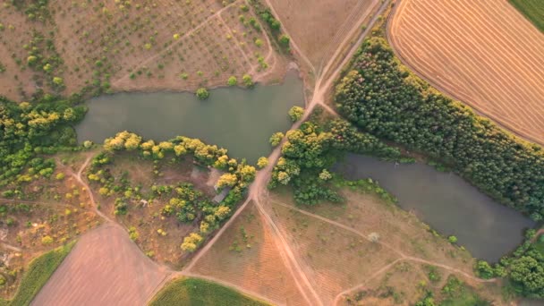 飞过一个小湖面，岸边长满了青草，在乡间 — 图库视频影像