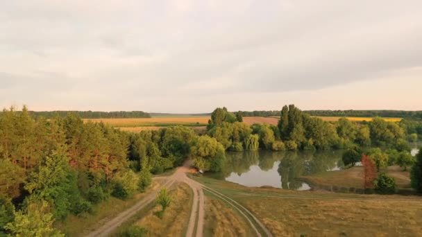 Vlucht over een meertje, met hoog gras aan de oevers, op het platteland — Stockvideo