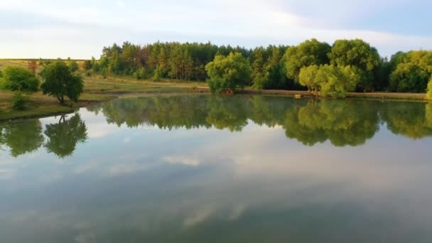 Vlucht over een meertje, met hoog gras aan de oevers, op het platteland — Stockvideo