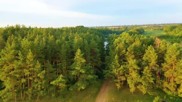 Vlucht over een meertje, met hoog gras aan de oevers, op het platteland — Stockvideo