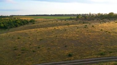 Çimlerin kuruduğu çayırın üzerinde uçan 4K 'lık bir video çekimi ve toprak bir yol var.