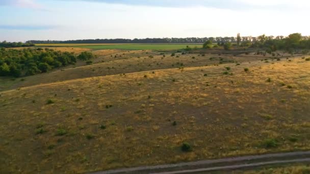 Съемка с воздуха, 4k, пролет над лугом, на котором высохла трава, и есть грунтовая дорога — стоковое видео
