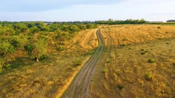 Légi felvétel, 4k, repül a rét felett, amelyen a fű megszáradt, és van egy földút — Stock videók