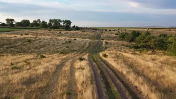 Luchtvideo schieten, 4k, vliegen over de weide waarop het gras is gedroogd, en er is een onverharde weg — Stockvideo
