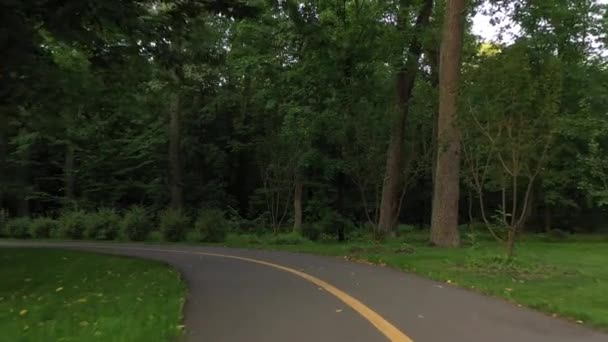 4k unbewohnte Gassen, morgens frischer Central Park von bucha — Stockvideo