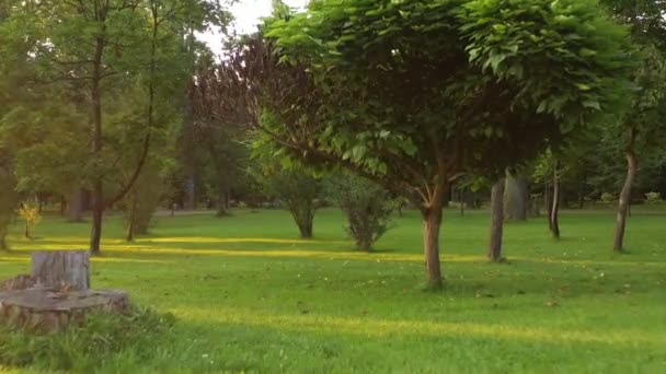 4k Callejuelas deshabitadas, en el fresco parque central de la mañana de Bucha — Vídeo de stock
