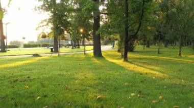 4k ıssız sokaklar, sabah Bucha 'nın taze Central Park' ı.