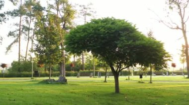 4k ıssız sokaklar, sabah Bucha 'nın taze Central Park' ı.