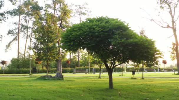 4k Callejuelas deshabitadas, en el fresco parque central de la mañana de Bucha — Vídeos de Stock