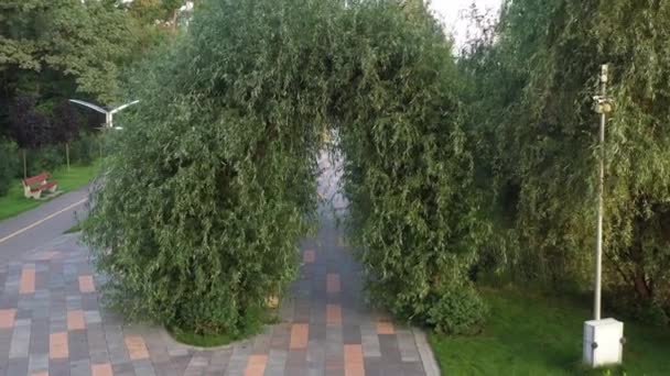 4k Callejuelas deshabitadas, en el fresco parque central de la mañana de Bucha — Vídeos de Stock