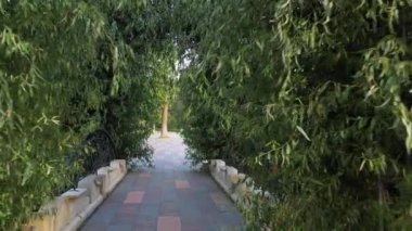 4k ıssız sokaklar, sabah Bucha 'nın taze Central Park' ı.