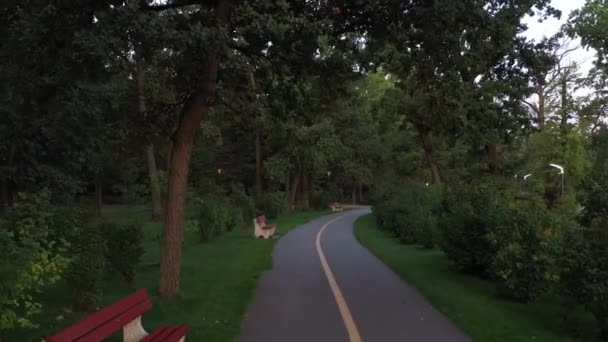 4k unbewohnte Gassen, morgens frischer Central Park von bucha — Stockvideo