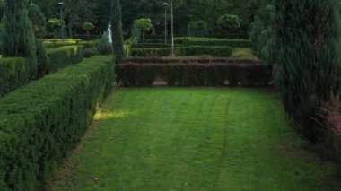 Buchan şehir parkındaki 4K hava fotoğrafçılığı Fransız bahçesi. Bir ağaç sanatının başyapıtı..