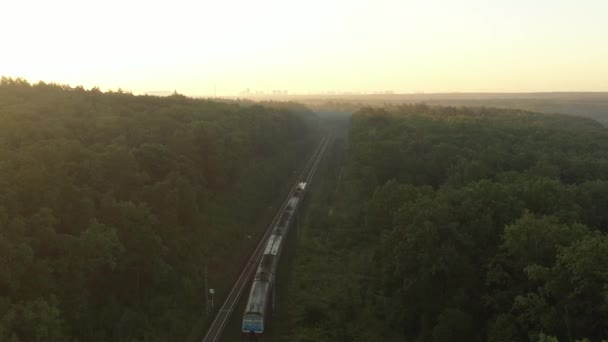 O trem elétrico chega à cidade, que é visível no horizonte, através da floresta no nevoeiro da manhã . — Vídeo de Stock
