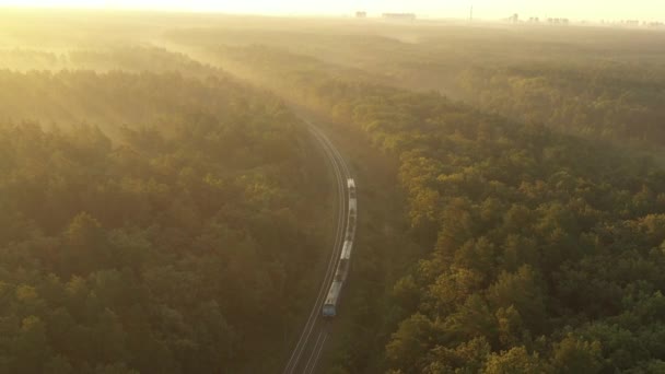 The electric train comes to the city, which is visible on the horizon, through the forest in the morning fog. — ストック動画