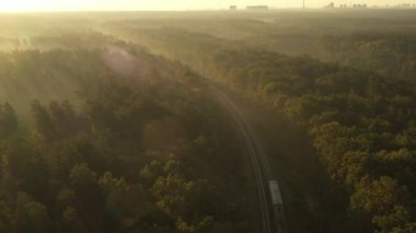 Ufukta görünen şehre giden elektrikli tren sabah sisinde ormanın içinden geçiyor..