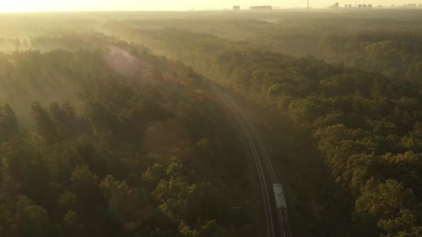 Электропоезд прибывает в город, который виден на горизонте, через лес в утренний туман . — стоковое видео