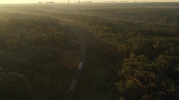 Le train électrique arrive à la ville, visible à l'horizon, à travers la forêt dans le brouillard du matin . — Video